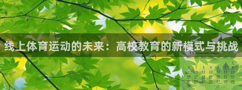 快体育足球篮球五大联赛24小时直播：线上体育运动的未来：高校教育的新模式与挑战