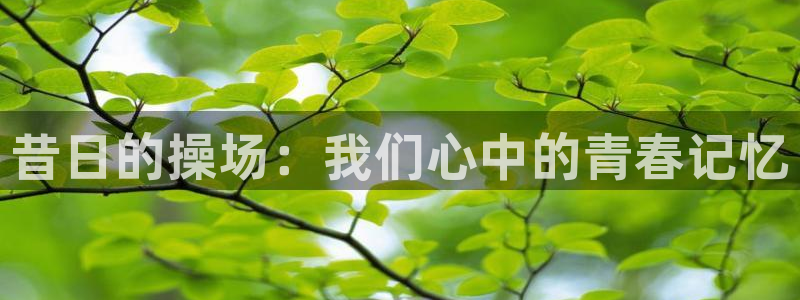 快体育app官网下载：昔日的操场：我们心中的青春记忆