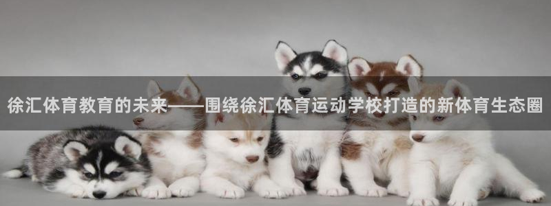 快体育app官网下载：徐汇体育教育的未来——围绕徐汇体育运动学校打造的新体育生态圈