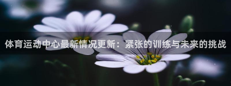 快体育篮球足球：体育运动中心最新情况更新：紧张的训练与未来的挑战