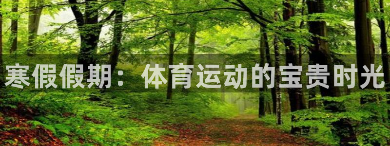 快体育篮球足球：寒假假期：体育运动的宝贵时光