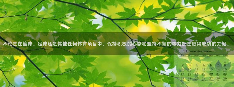 快体育彩票：不论是在篮球、足球还是其他任何体育项目中，保持积极的心态和坚持不懈的毅力都是取得成功的关键。