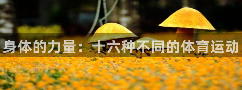 快体育篮球直播：身体的力量：十六种不同的体育运动